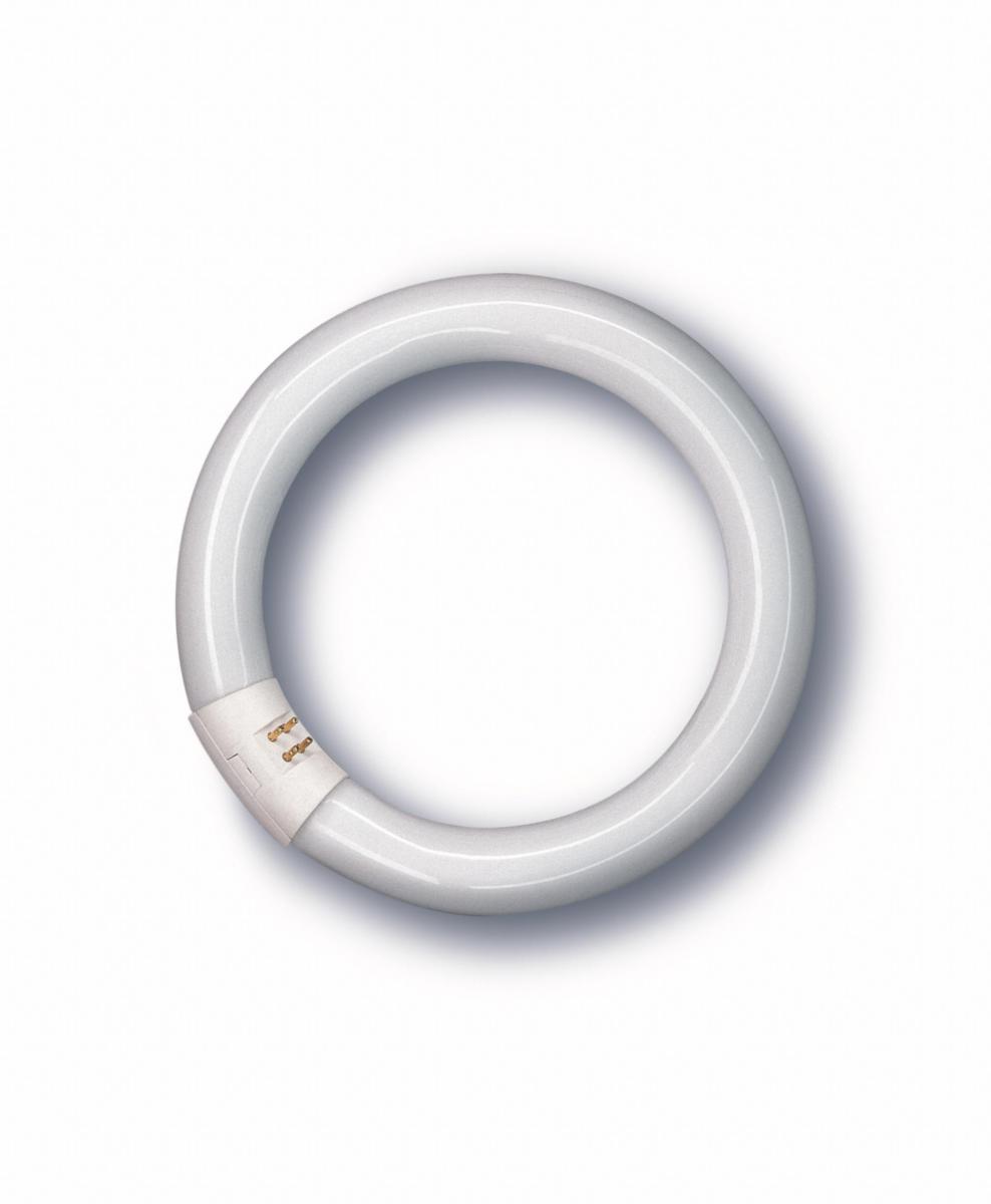 Cirkellysrör LUMILUX® fullfärg - CIRKELLYSRÖR T8 L 40W/21C 