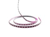 LEDstrip 24V IP20 TW, RGB, RGBW