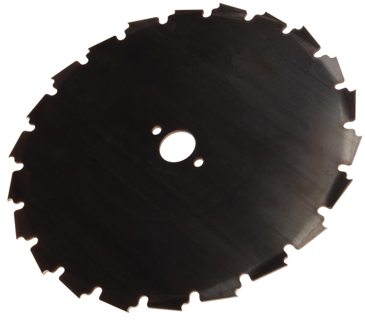 Röjklinga Bahco EIA - EIA RÖJKLINGA 22T ¢200-25 MM BAHCO EIA-200-25BA