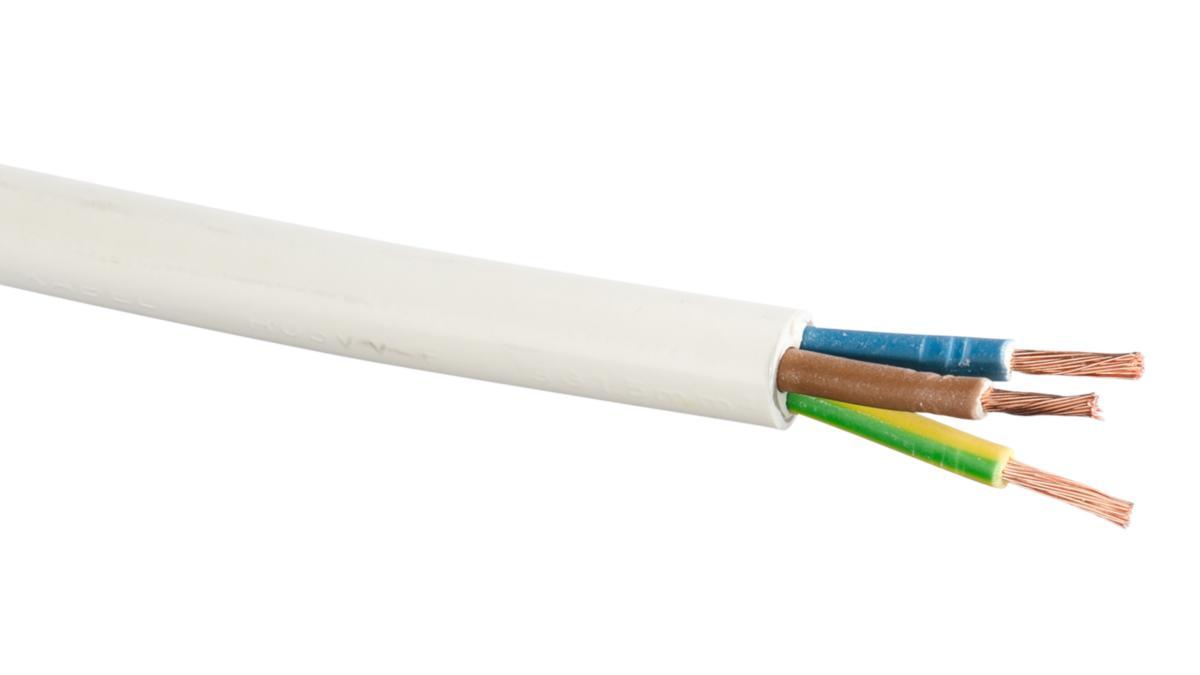 RKK (H05VV-F) - KABEL RKK 3G1 10M/RING VIT