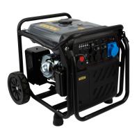 Elverk Pela Inverter 8000W