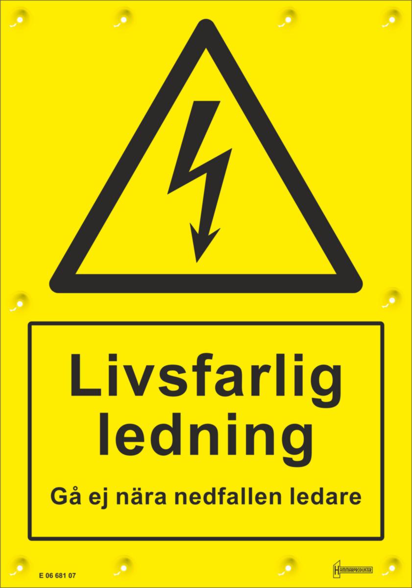 Skylt V1707 - SKYLT V17 "LIVSFARLIG LEDNING"
