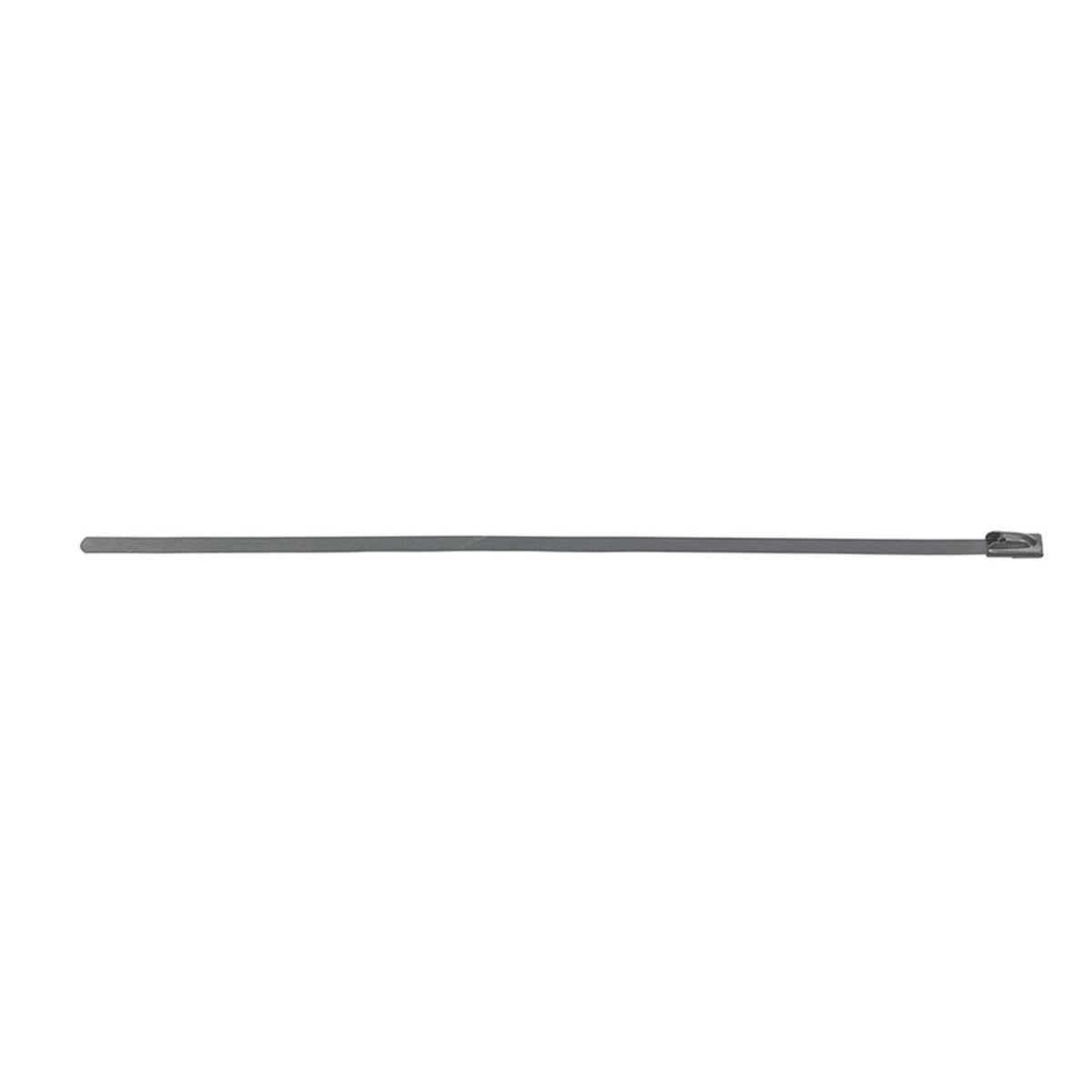 Buntband FSBTH syrafasta stålbuntband AISI 316 (V4A) . - BUNTBAND FSBTH 7.9X200 254143
