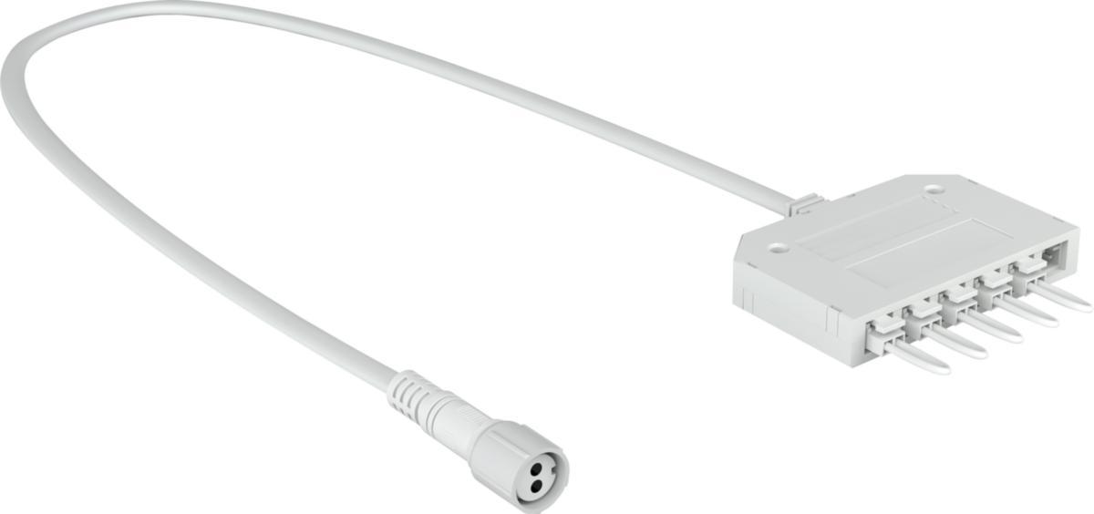 Grenuttag 6-vägs för downlight, Gelia - GRENUTTAG 6-VÄGS AMP-KONTAKT FÖR DOWNLIGHT