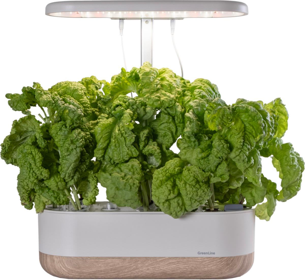 Odlingsset Urban Growing P10 - ODLINGSSET URBAN GROWING P10