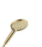Hansgrohe Handdusch RD Select S120
