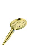 Hansgrohe Handdusch RD Select S120