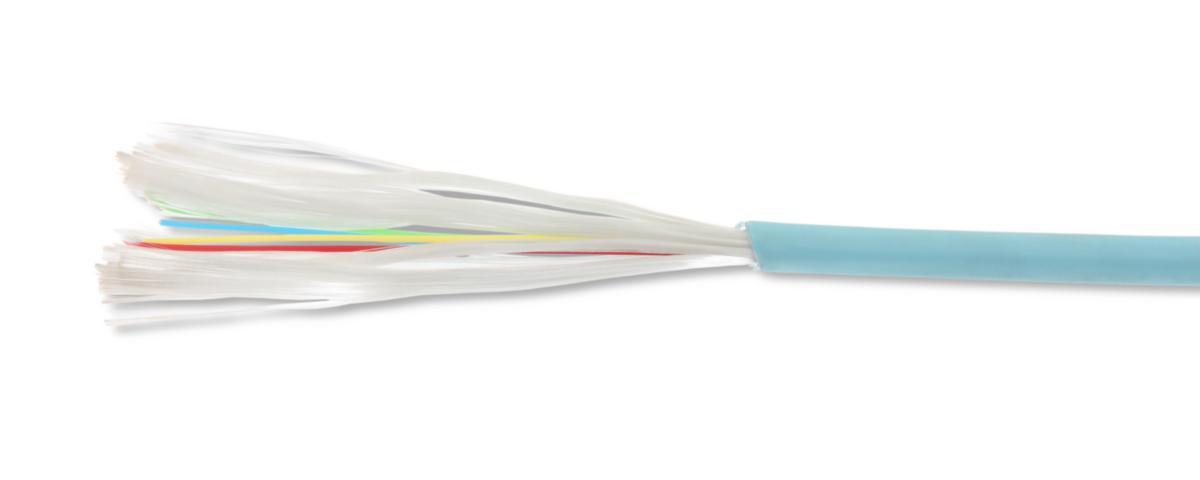 Distributionsfiber OM3 50/125 Dca, Eurolan - DIST OM3 8X50/125 DCA (*7) 39TD-30-08-01AQ-0