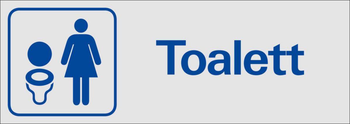 Symbolskyltar "text" - SKYLT "TOALETT DAM" 38-6950 225X 80MM