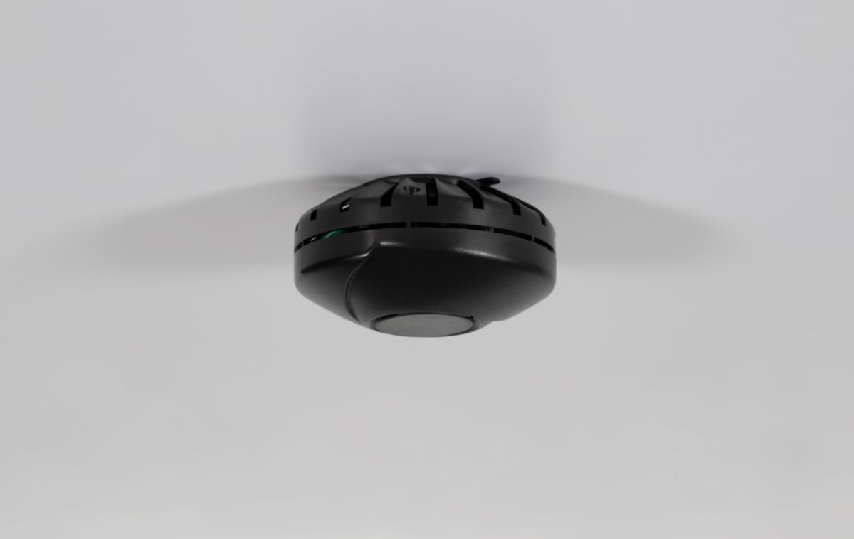 https://www.youtube.com/watch?v=/external-assets/JPEGlarge800_800/89/42/ProductImage54498942.jpg