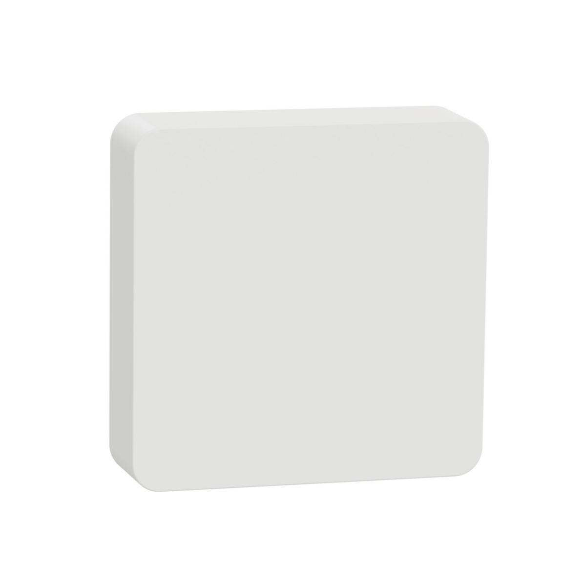 Temperatur/fuktighetssensor Wiser Zigbee - TEMPERATUR/FUKTIGHETSSENSOR CCT593011