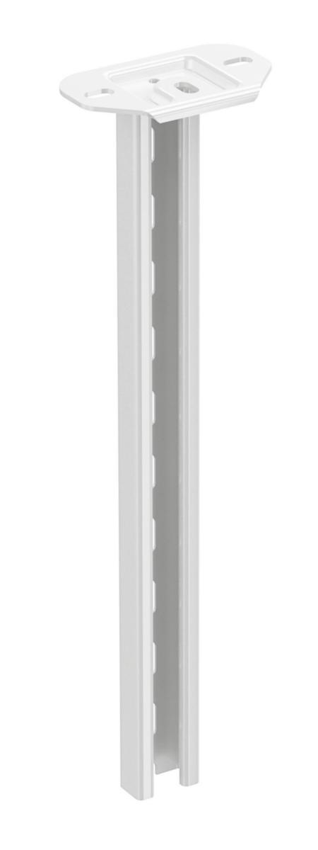 Takpendel 2F FZV - TAKPENDEL 2F/1000 VIT