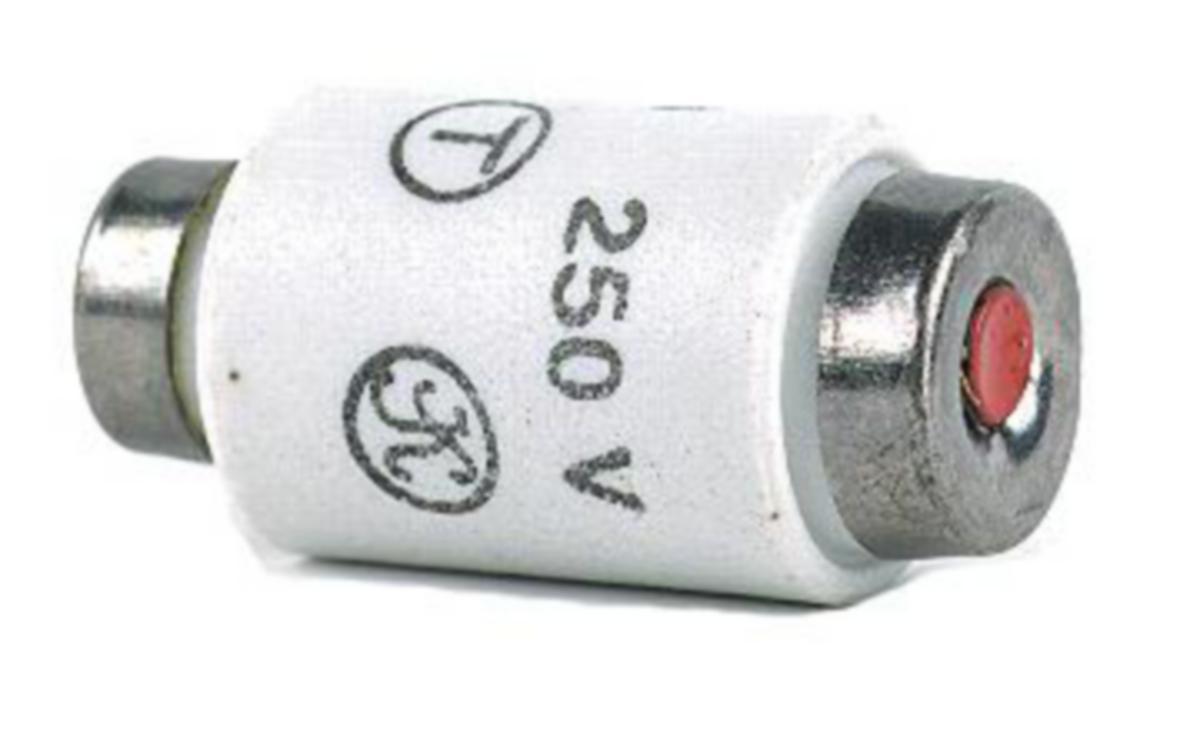 Säkring, trög, 250 volt - SÄKRING 10A TRÖG 250V 5ST KART SMÅ SÄKRINGAR