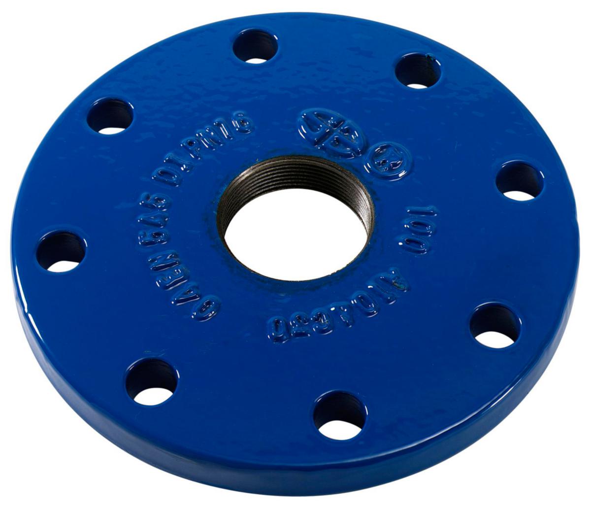 Blindfläns Esco med gängad anslutning - 100XR50 BLINDFLÄNS, EPOXY ESCO S-9660-50