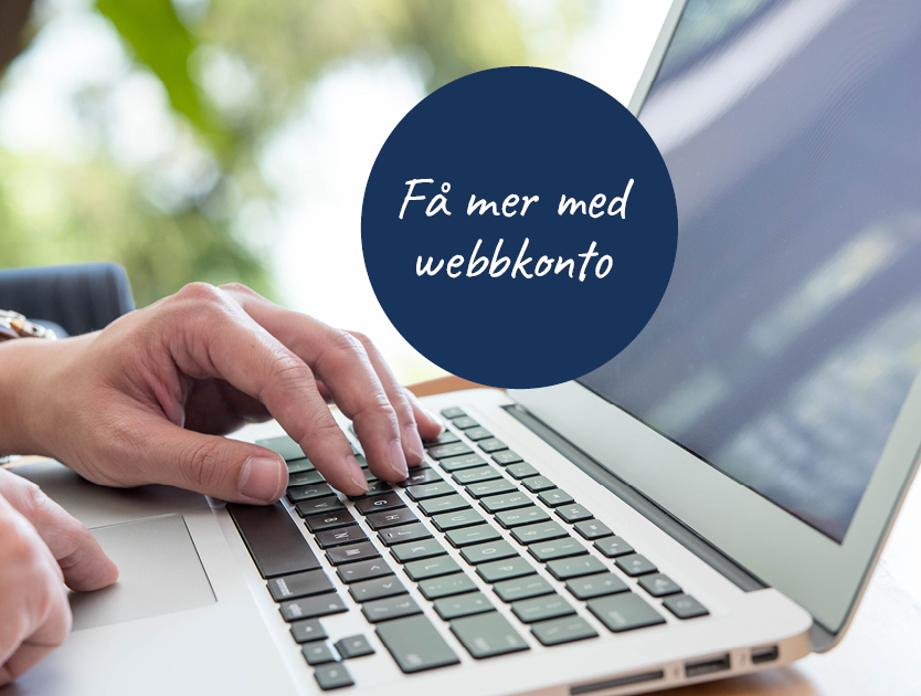 Dator, ehandel