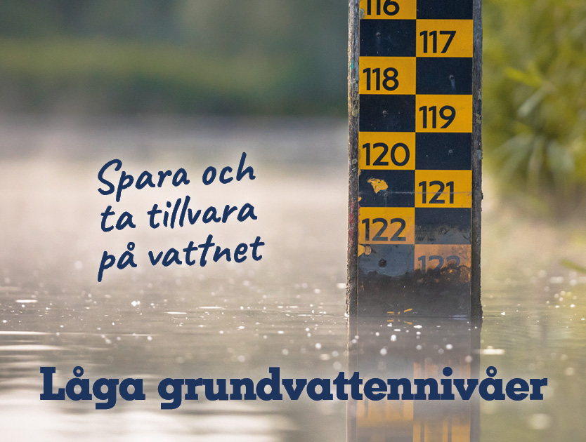 Grundvattennivå