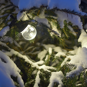julbelysning i en snötäckt gran