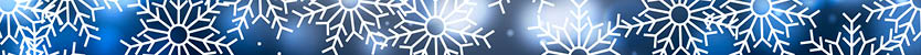 julglitter_834x50.jpg